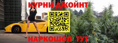 сатива Камышлов