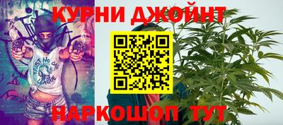 сатива Камышлов